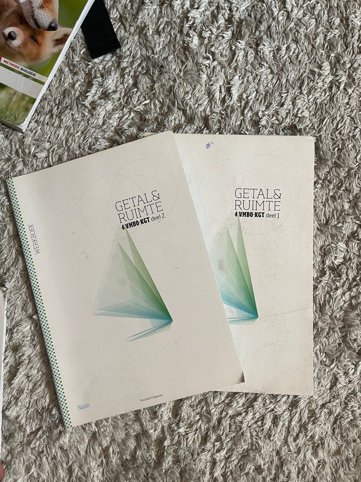 Getal en ruimte vmbo 4 deel 1-2, Boeken, Ophalen, Zo goed als nieuw, VMBO