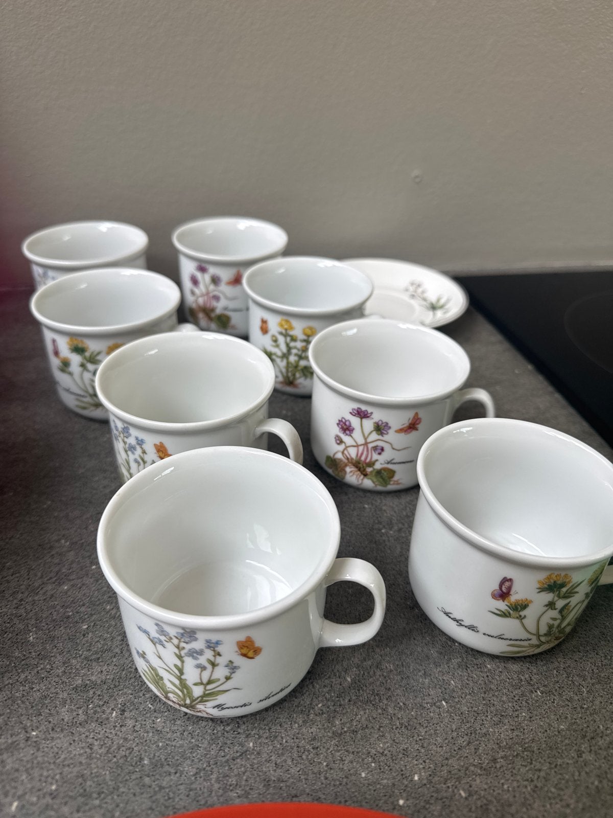 Vintage Kronester Bavaria kopjes met bloemmotief, Ophalen of Verzenden