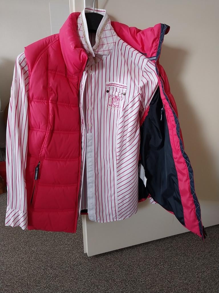 Gestreepte blouse met bijpassende bodywarmer, maat XL, Kleding | Dames, Blouses en Tunieken, Argentina, Maat 42/44 (L), Ophalen of Verzenden