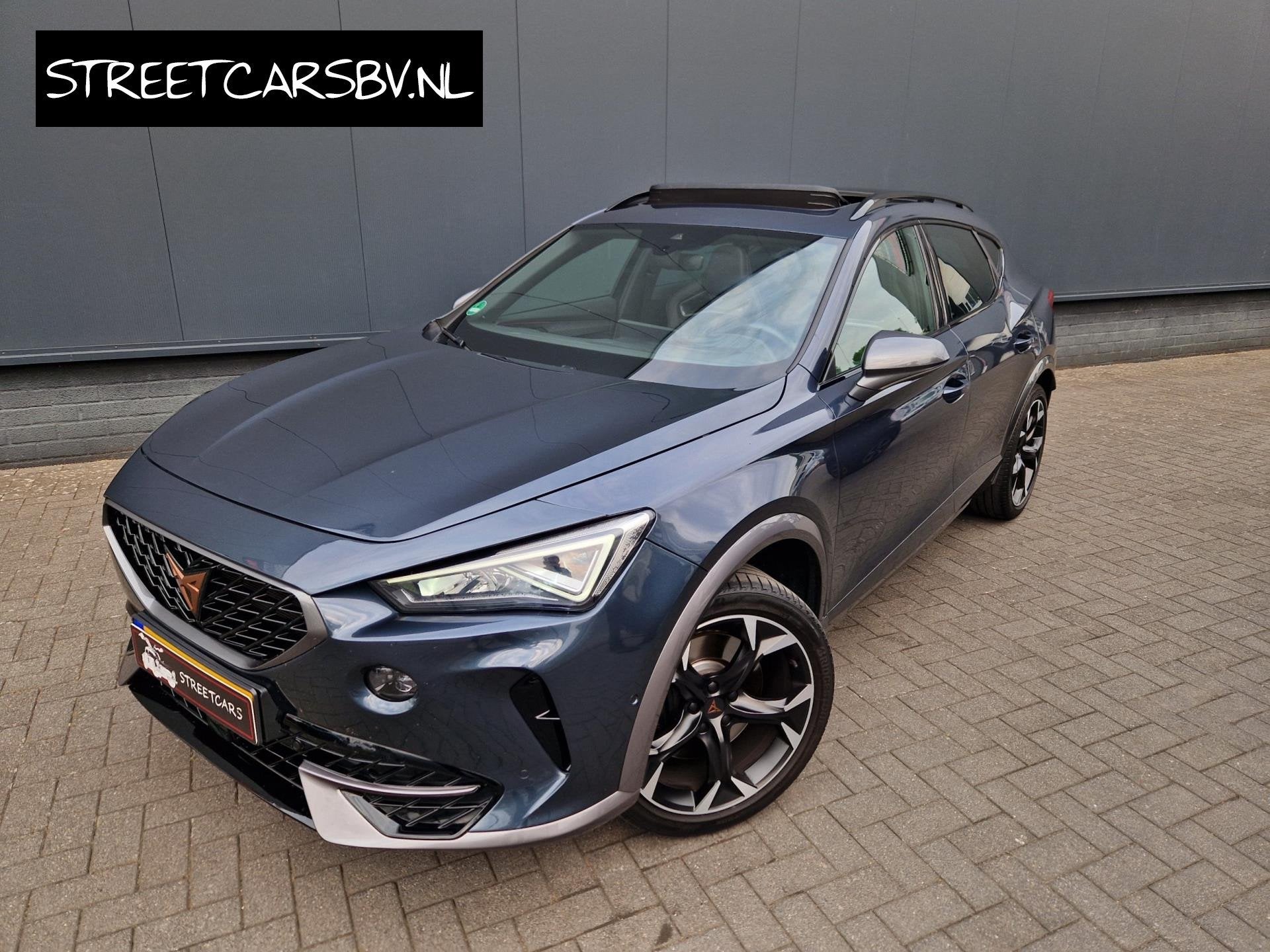 Cupra FORMENTOR 2.0 TSI 4DRIVE, Automaat, 12 maanden, Euro 6, Vierwielaandrijving