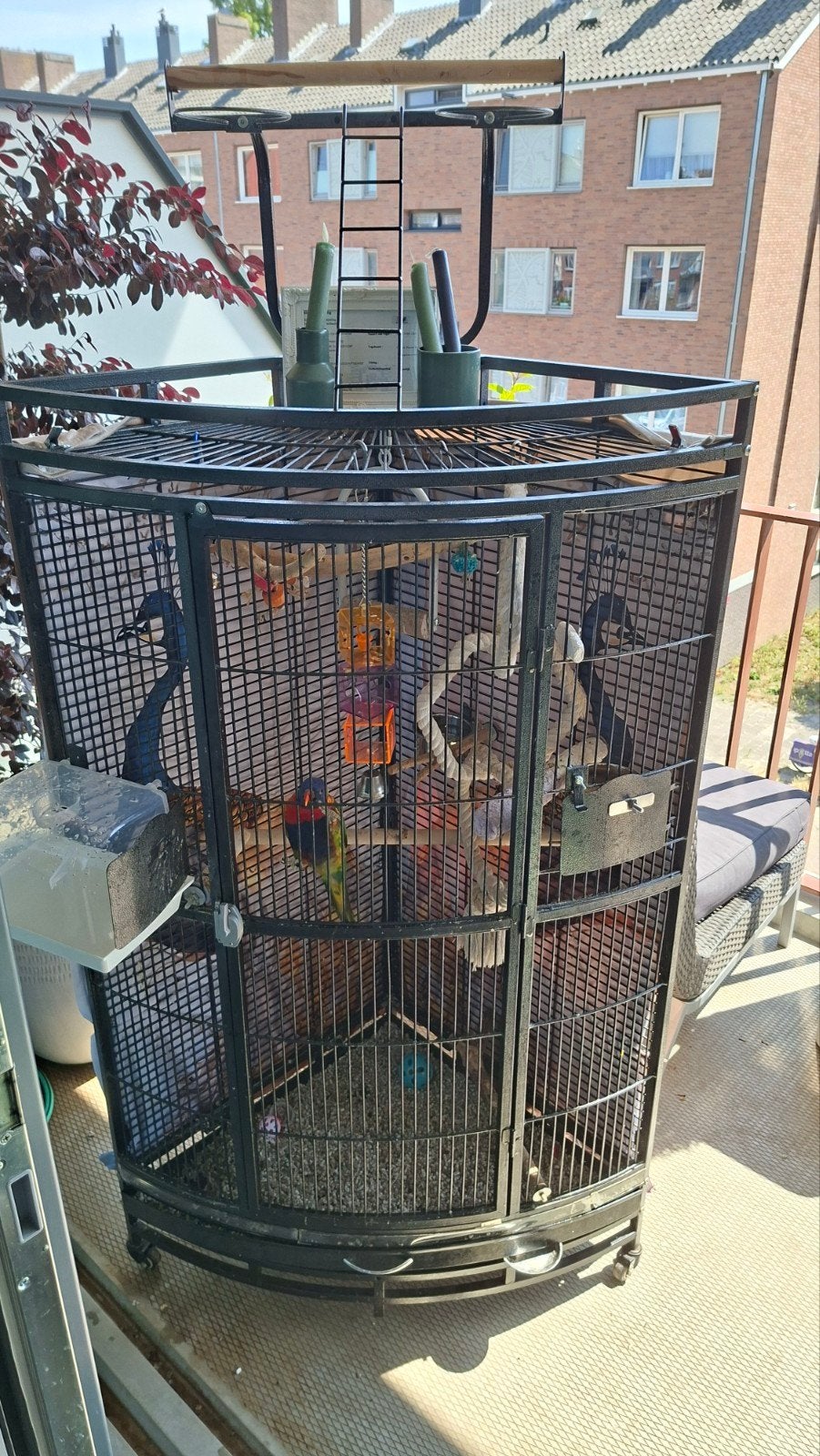 Kooi voor papagaai/Lori/parkiet, Dieren en Toebehoren, Vogels | Hokken en Kooien, Ophalen