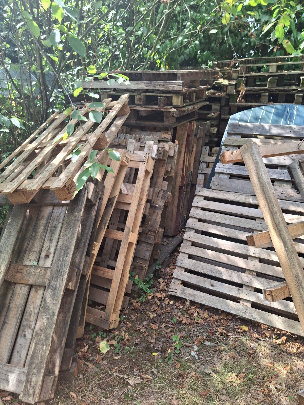 GRATIS PALLETS STOOK, Minder dan 3 m³, Ophalen