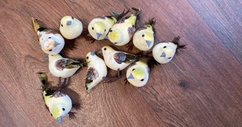 11 nepvogeltjes, Ophalen of Verzenden, Zo goed als nieuw, Knutselmateriaal