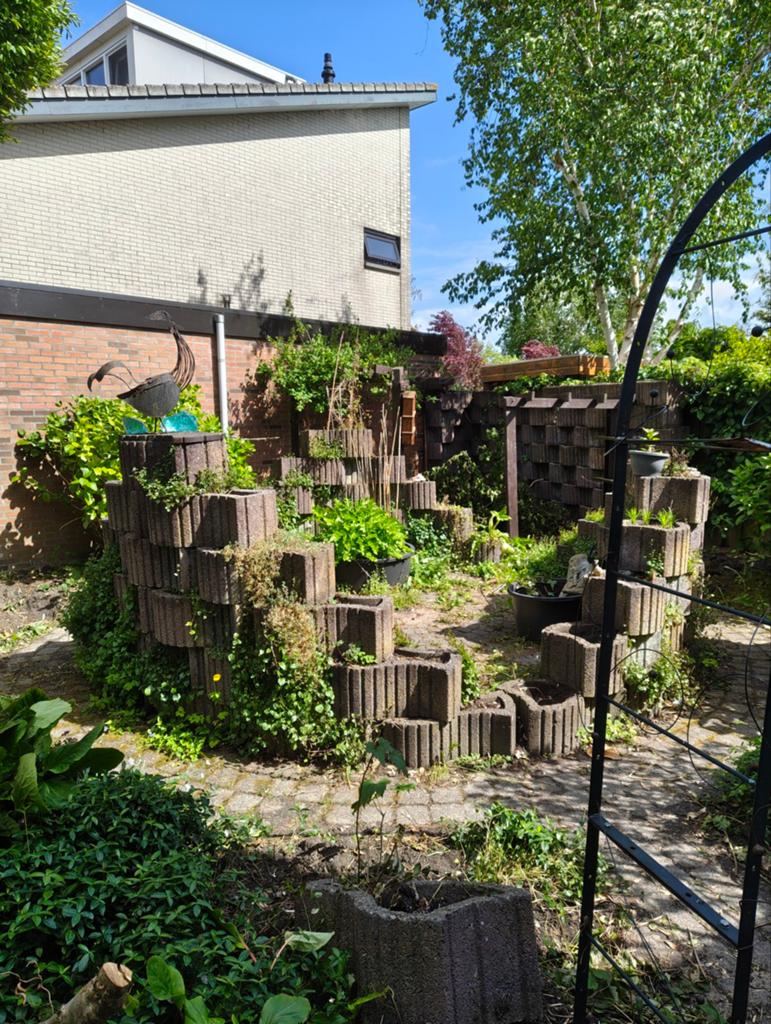Gratis stenen planten bakken, Ophalen, Bloeit niet, Volle zon, Overige soorten