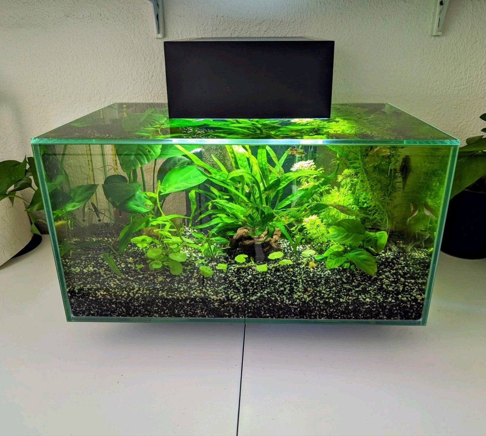Fluval Edge aquarium - 23 liter - Leeg incl. accessoires, Ophalen, Inclusief deksel, Gebruikt, Leeg aquarium