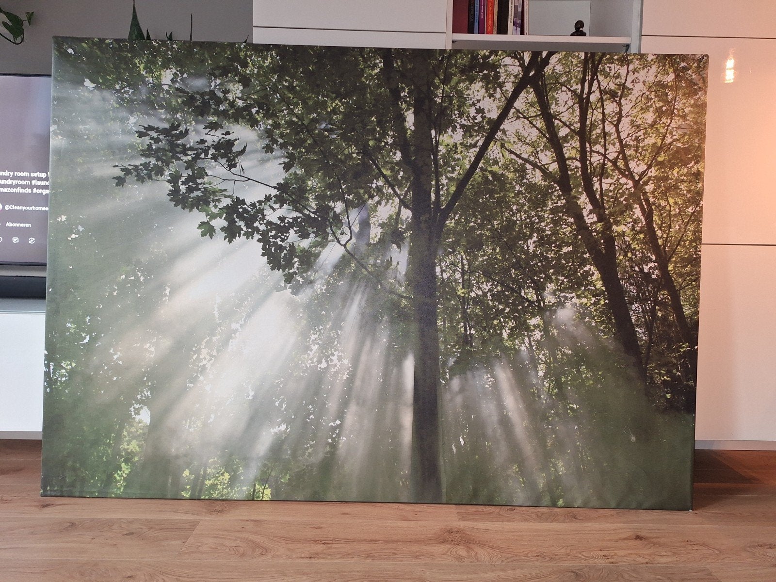 Schilderij Bos met Zonnestralen - Canvas, 125 cm of meer, Ophalen of Verzenden, Zo goed als nieuw, Schilderij