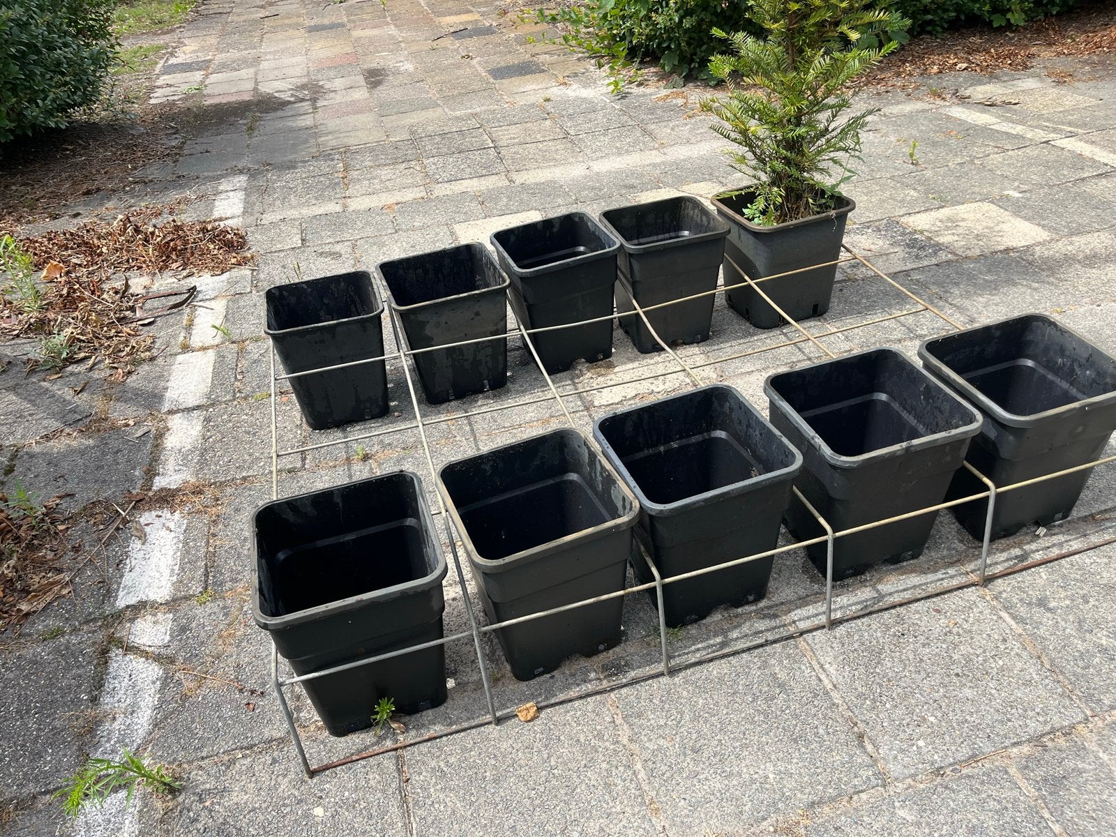Metalen rek voor plantenbakken , kwekerij of tuin, Tuin en Terras, Gebruikt, Minder dan 30 cm, 100 cm of meer, Balkon