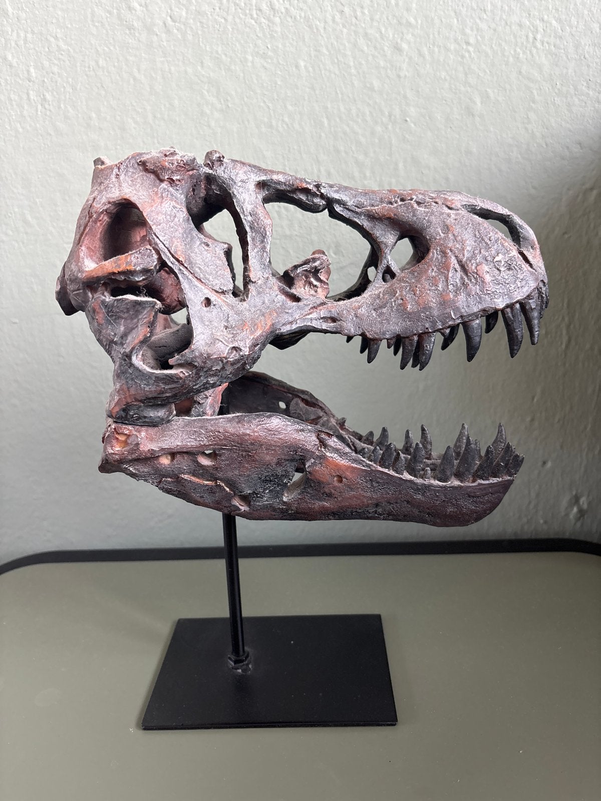 T-Rex schedel replica op standaard - 30 cm, Verzamelen, Overige Verzamelen, Ophalen, Zo goed als nieuw