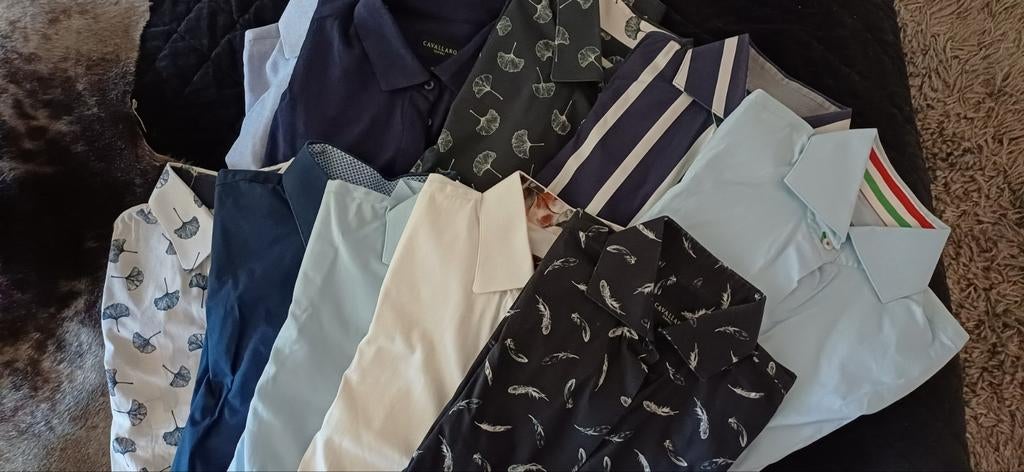 10 Cavallaro dames overhemden maat 38, Kleding | Dames, Blouses en Tunieken, Maat 38/40 (M), Overige kleuren, Cavallaro, Ophalen of Verzenden