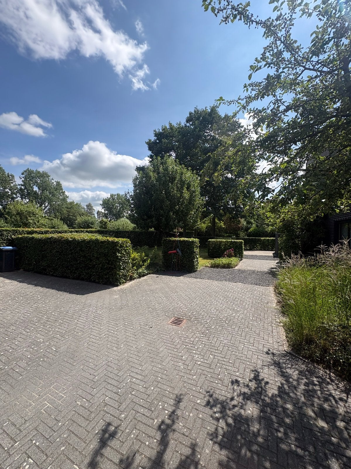 Hovenier/tuinman aangeboden groningen en omgeving, Ophalen, Nieuw, Beton, Terrastegels
