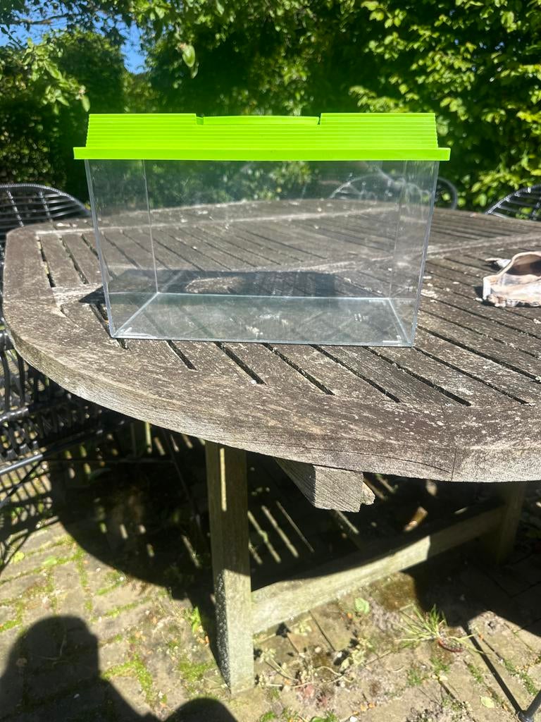 Terarium, Dieren en Toebehoren, Vissen | Aquaria en Toebehoren, Ophalen of Verzenden, Gebruikt, Overige typen