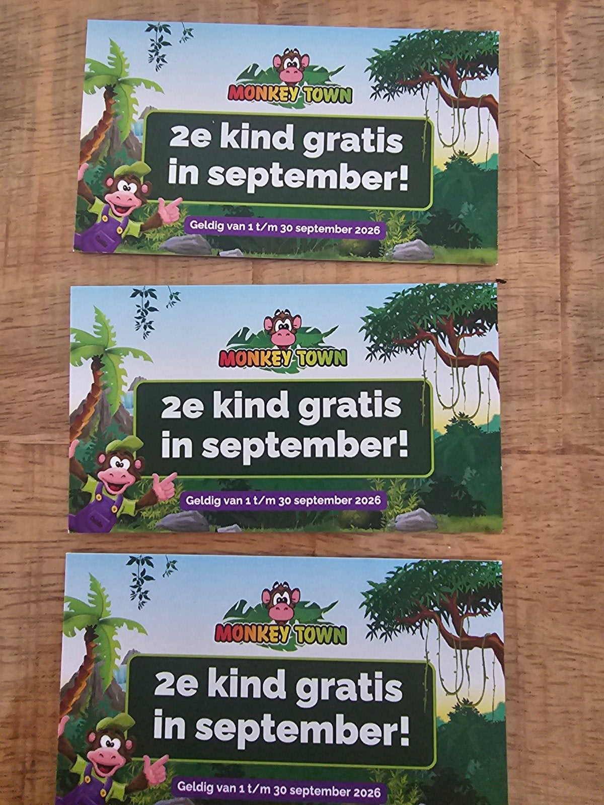 2de kaartje gratis 3x, Eén persoon, Ticket of Toegangskaart