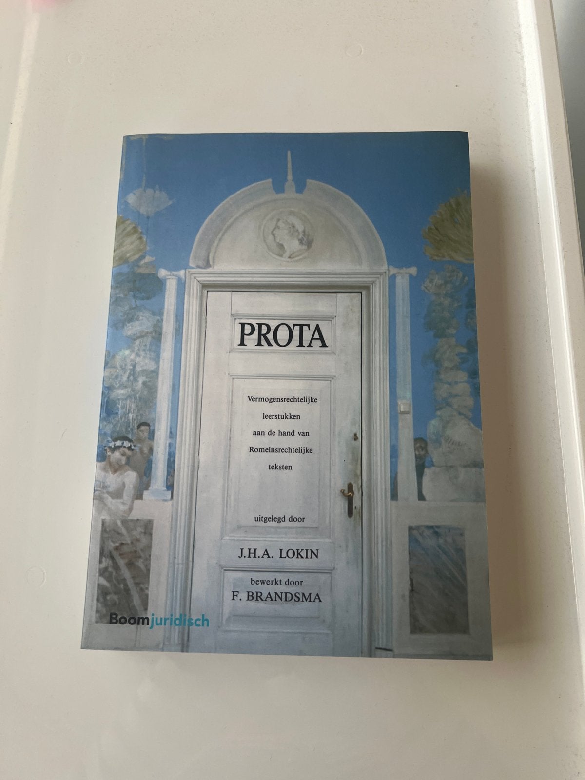 PROTA: Vermogensrechtelijke leerstukken - J.H.A. Lokin, Ophalen of Verzenden, Gamma, Zo goed als nieuw, WO