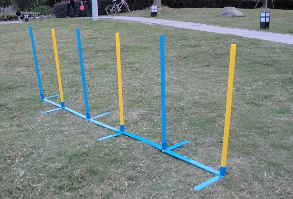 Agility Training Materialen Honden - Hondentraining Pro, Ophalen of Verzenden, Nieuw