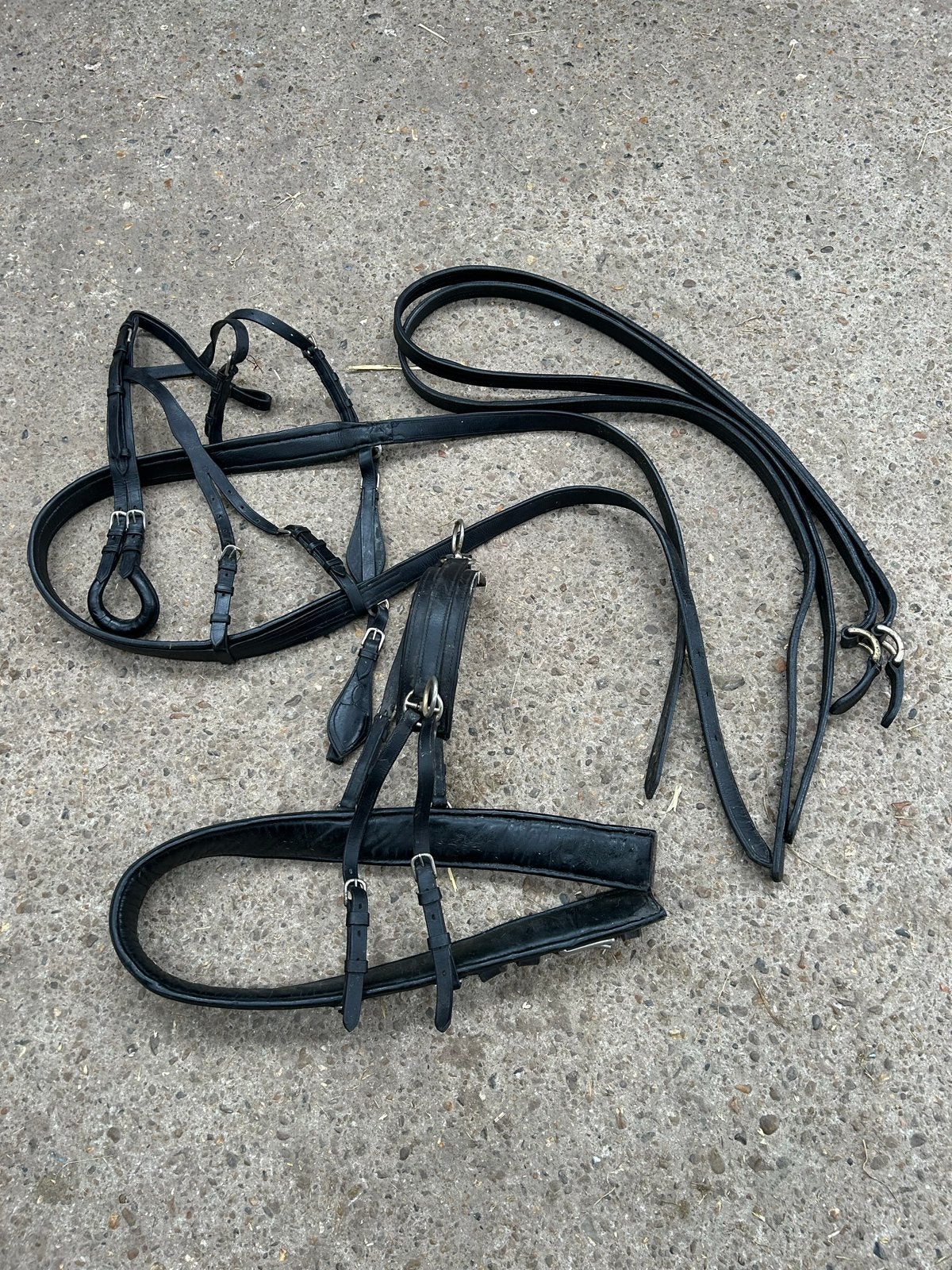 Tuig voor pony, Ophalen, Gebruikt, Mentuig, Pony
