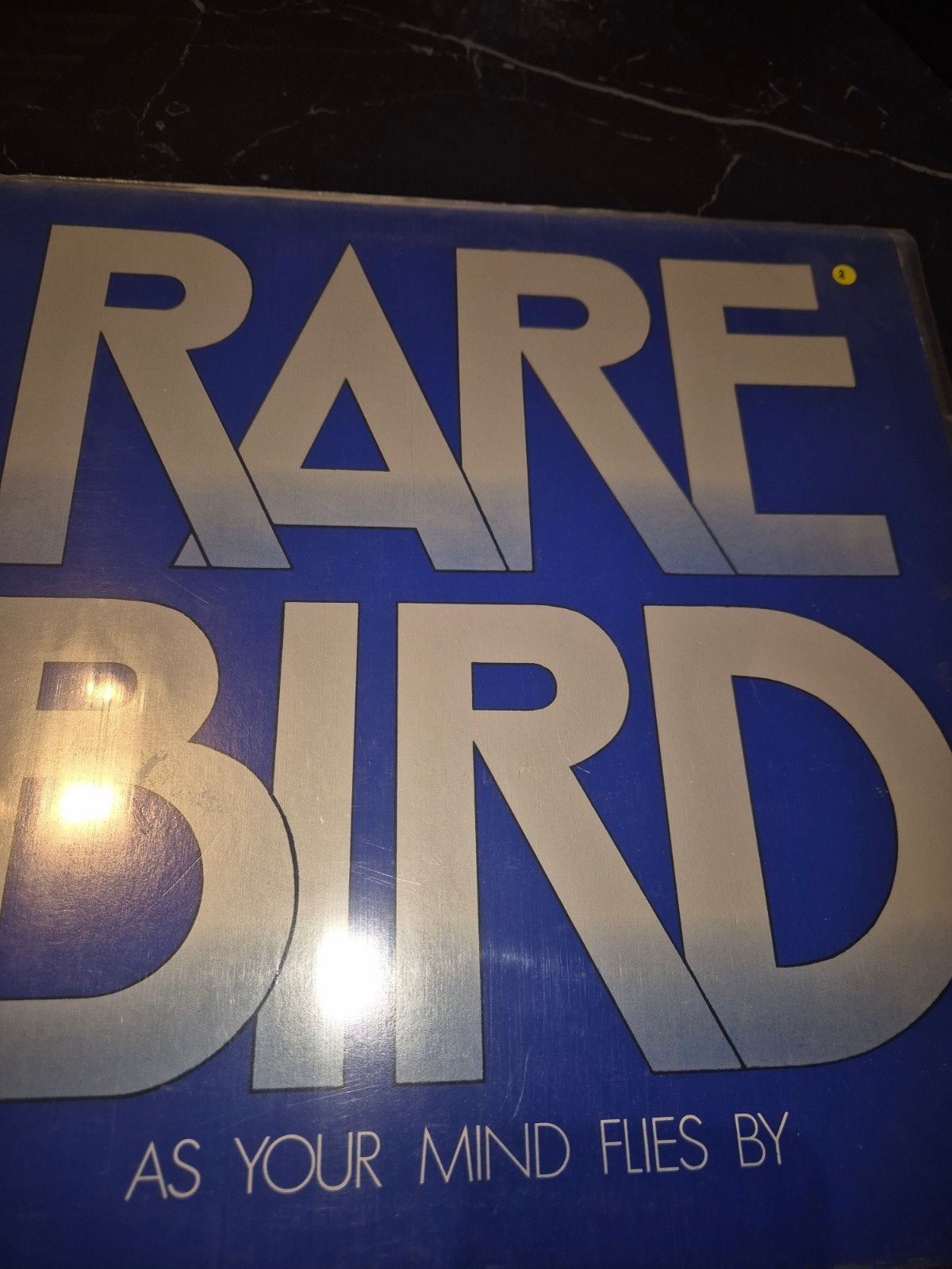 Rare Bird, Ophalen of Verzenden, Gebruikt, 12 inch, Poprock