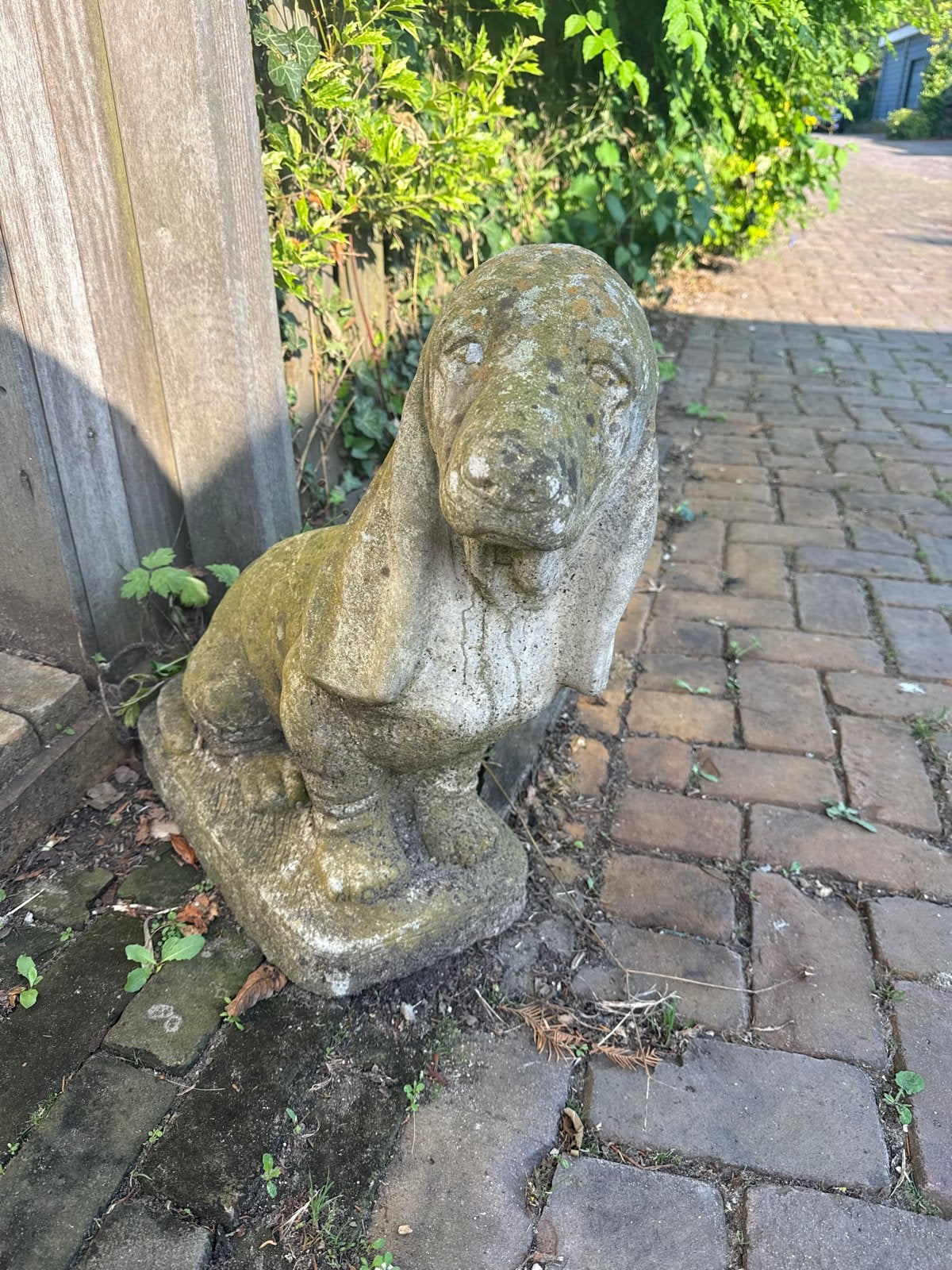 Vintage stenen hond tuinbeeld - Basset Hound, Ophalen, Gebruikt, Beton, Dierenbeeld