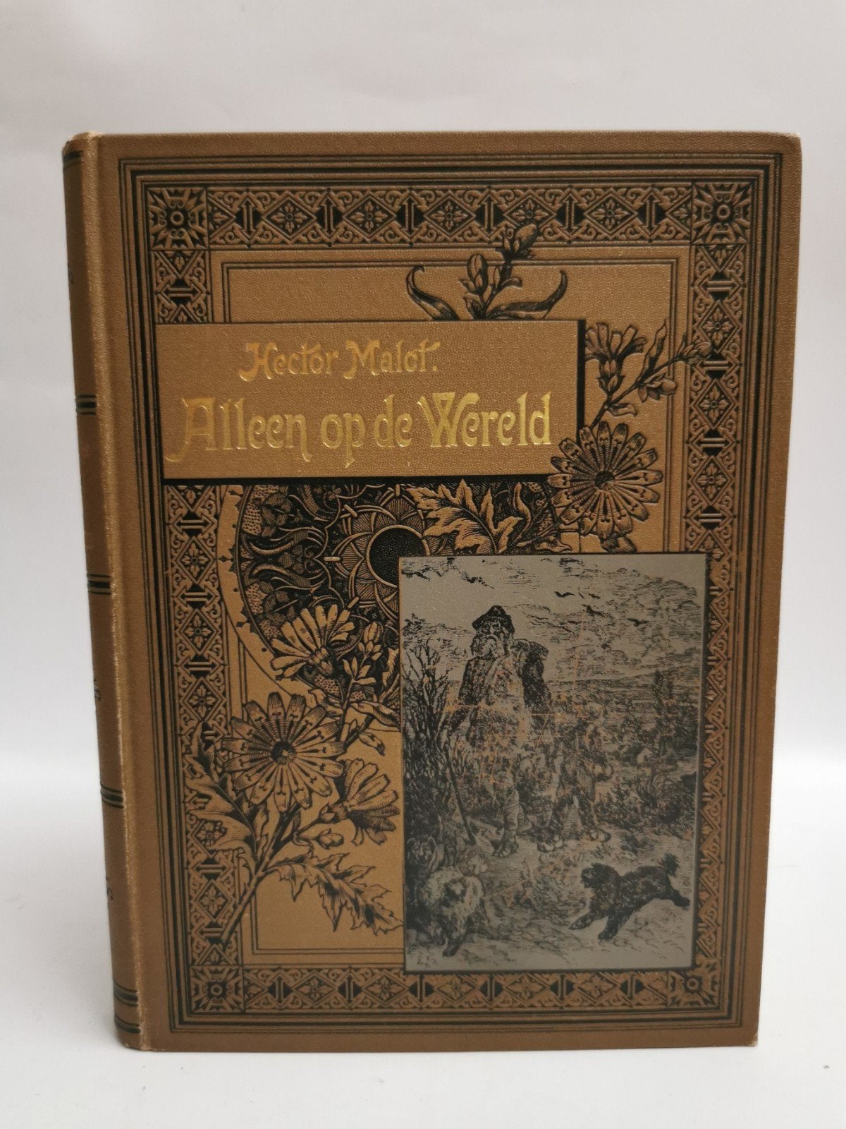 Alleen op de Wereld - Hector Malot (Geïllustreerd), Boeken, Ophalen of Verzenden, Gelezen, Hector Malot, Nederland