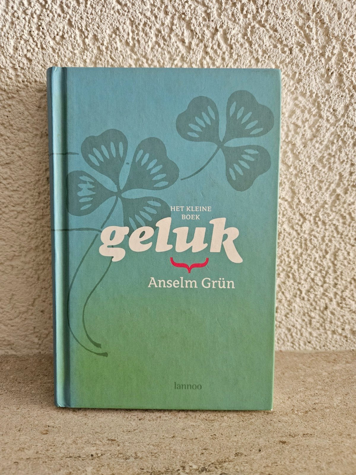 Het kleine boek geluk - Anselm Grün, Boeken, Achtergrond en Informatie, Spiritualiteit algemeen, Ophalen of Verzenden, Anselm Grün