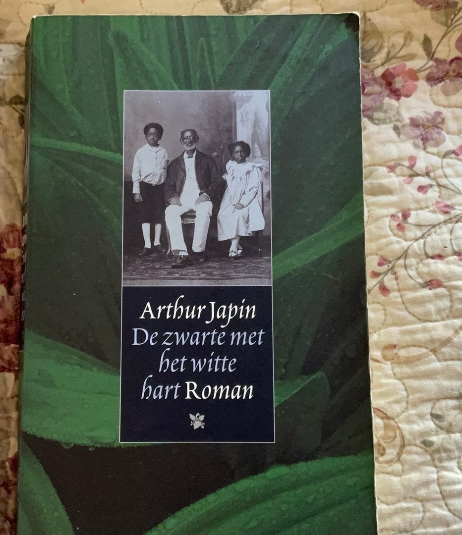 Arthur Japin - De zwarte met het witte hart, Ophalen of Verzenden, Zo goed als nieuw, Arthur Japin