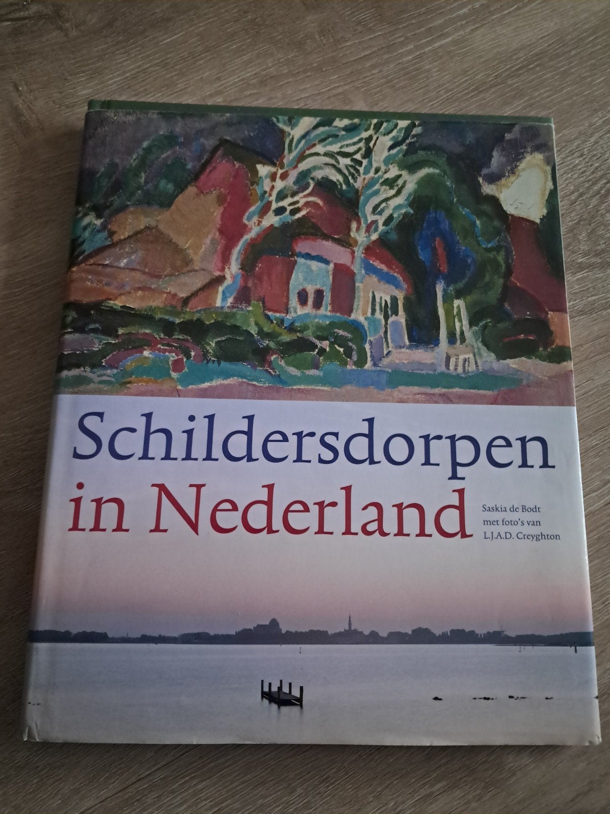 Z4 Schildersdorpen in Nederland - Saskia de Bodt, Ophalen of Verzenden, Gelezen, Schilder- en Tekenkunst, Saskia de Bodt