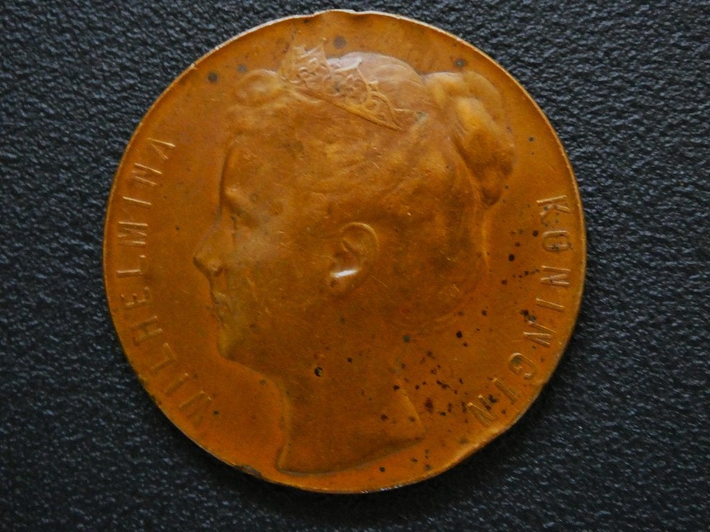 Antieke bronzen herdenkingspenning met Koningin Wilhelmina, Ophalen of Verzenden, Brons, Nederland