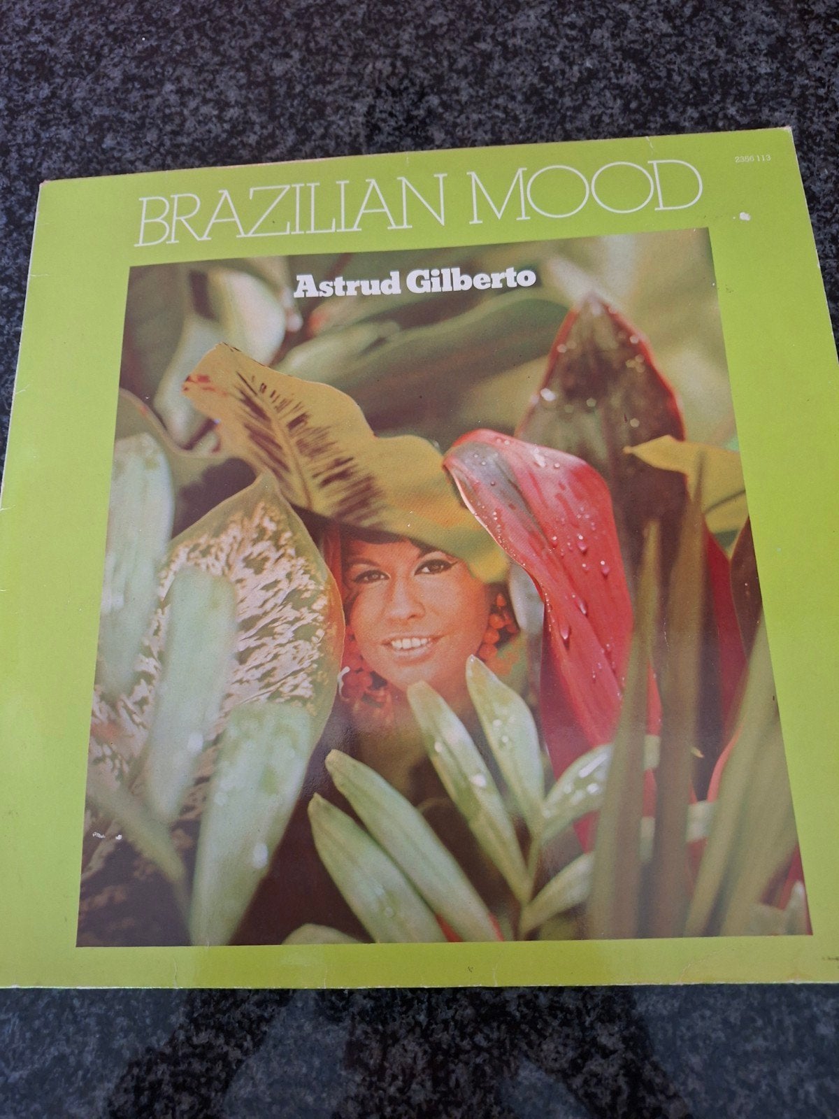 Astrud Gilberto  Brazilian Mood  LP, Inclusief binnenhoes, Ophalen, Gebruikt, Overige formaten