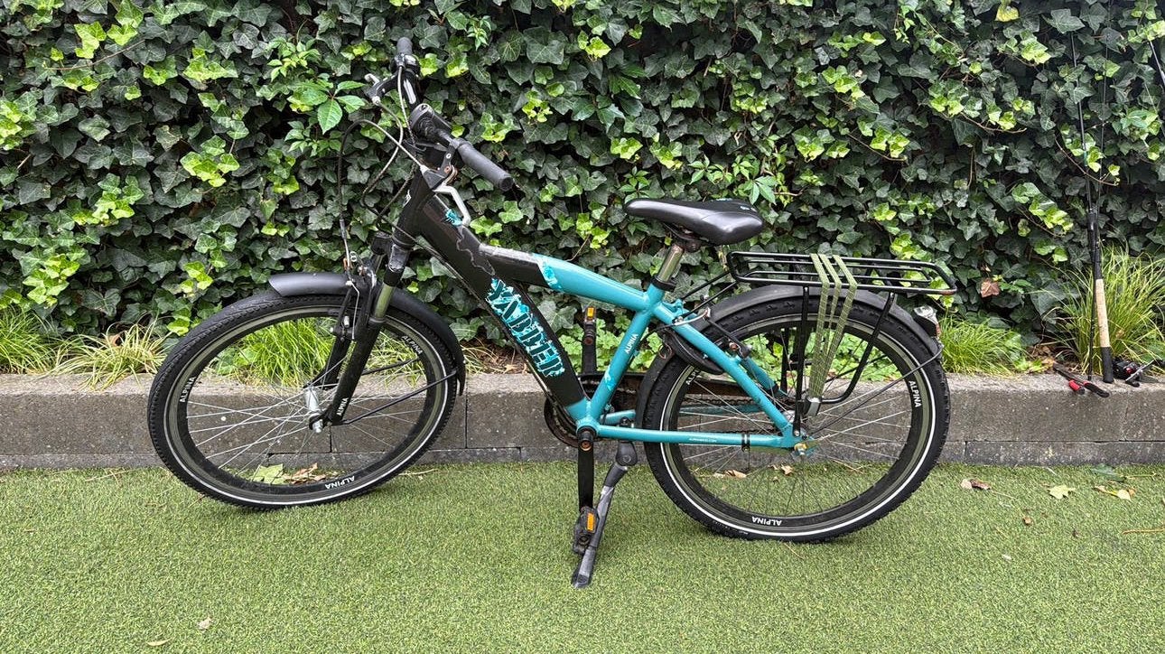 Alpina fiets 24 inch, Ophalen, Gebruikt, 24 inch, Versnellingen