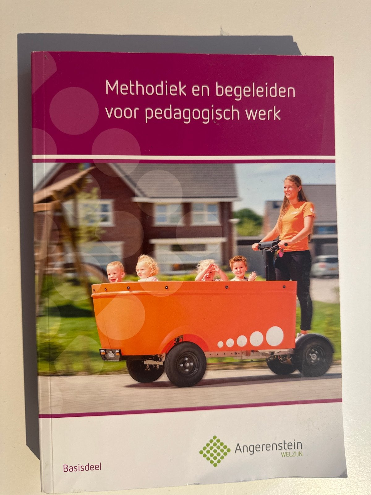 Methodiek en begeleiden voor pedagogisch werk Basisdeel, Boeken, Ophalen of Verzenden, Gamma, Zo goed als nieuw, MBO