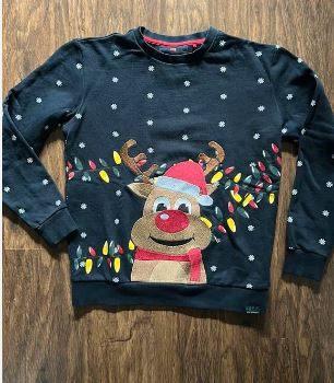 Kerst trui WE maat 170/176, Trui of Vest, Ophalen of Verzenden, Zo goed als nieuw, Jongen