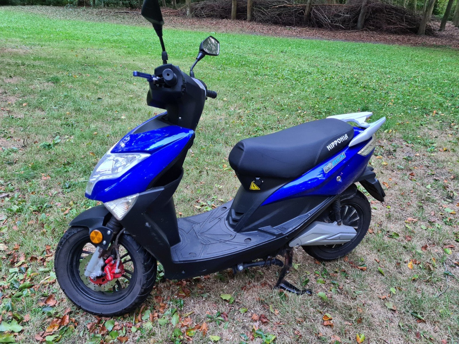 Nipponia E-Rex Elektrische Scooter - Rijdt prima!, Gebruikt, Elektrisch, Ophalen, Overige merken
