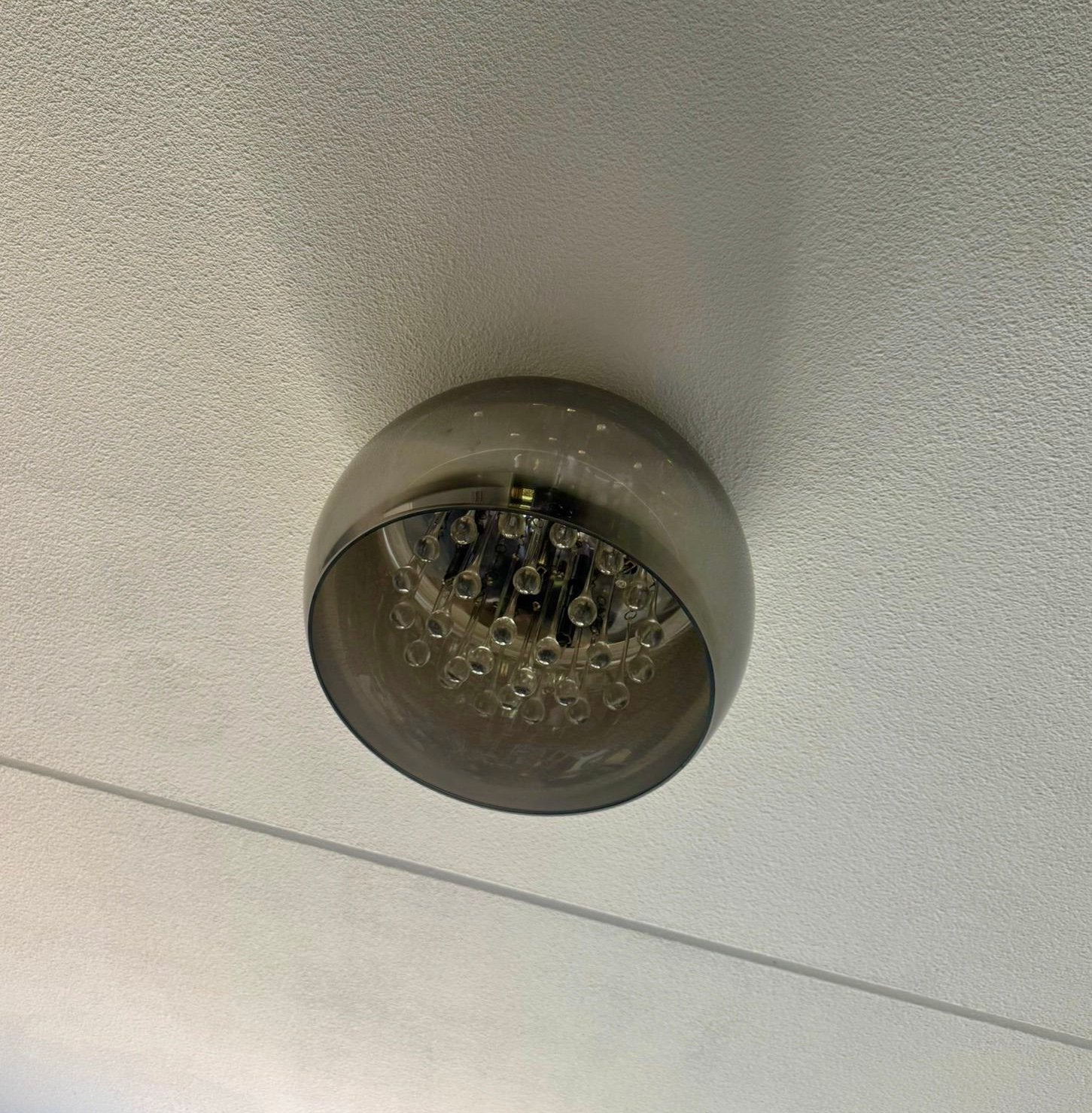 Plafondlamp, Dieren en Toebehoren, Bijen