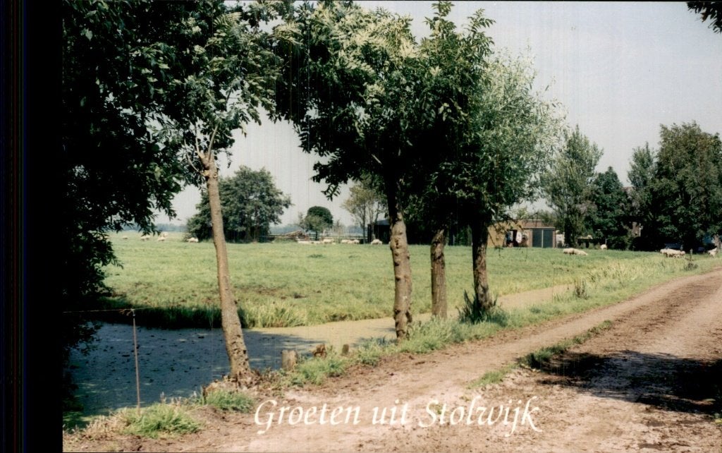 Stolwijk - Weiland - Schapen, Ophalen of Verzenden, 1960 tot 1980, Ongelopen, Zuid-Holland
