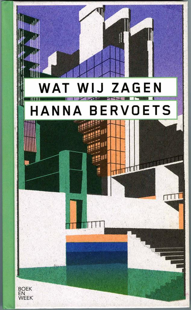 Wat wij zagen - Hanna Bervoets, Boeken, Hanna Bervoets, Ophalen of Verzenden, Zo goed als nieuw, Nederland