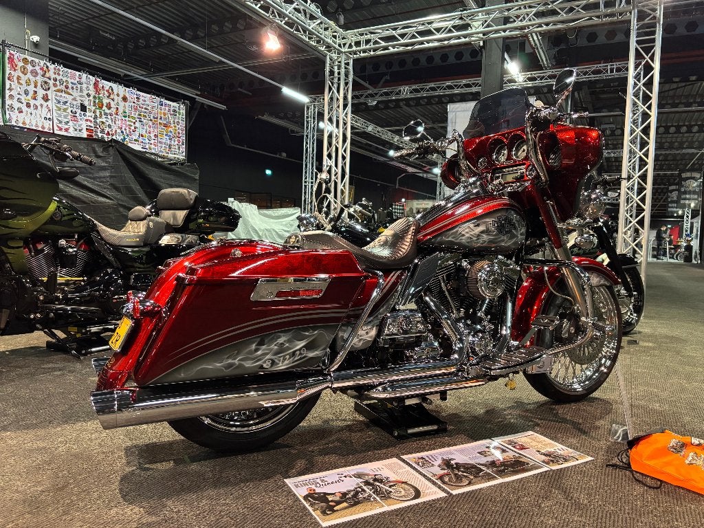 Foto 20 van Unieke Custom Harley Touring/Street Glide/Electra Glide
