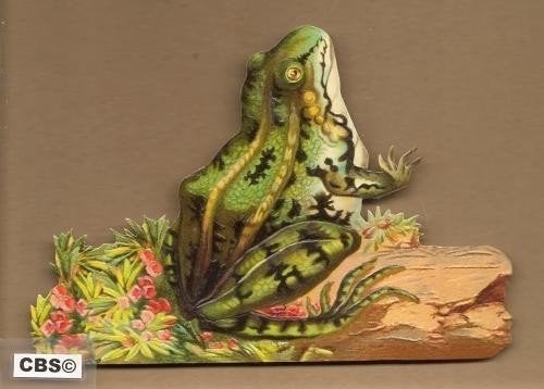 Kwakende kikker in het groen poezieplaatjes 5119, Verzamelen, Ophalen of Verzenden