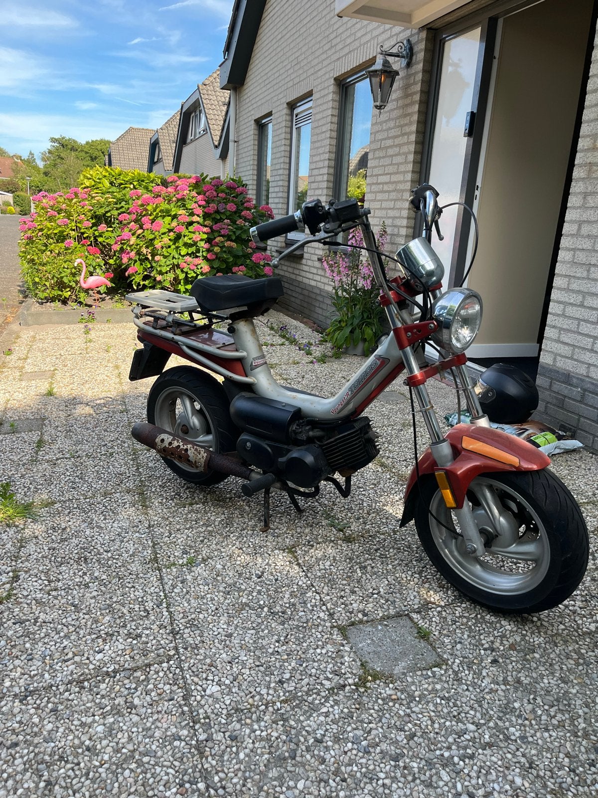 Tomos youngster blauw kenteken, Ophalen, Gebruikt
