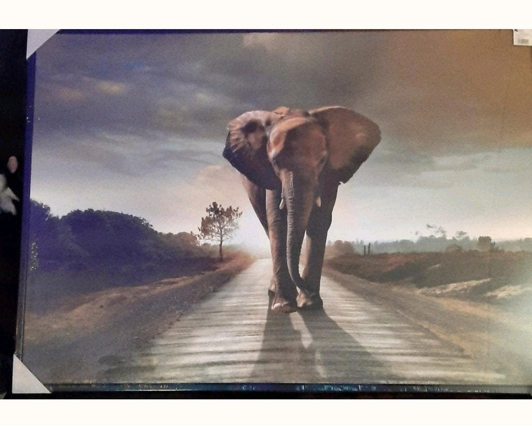 schilderij olifant,  100x140cm, Ophalen of Verzenden