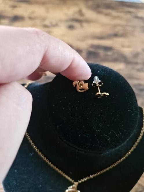 Zwanen ketting Met oorbellen van roestvrij staal h3, Overige materialen, Onbekend, Nieuw, Ophalen of Verzenden