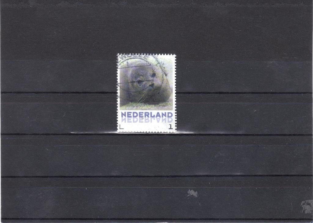 Nederland Kaderpostzegel Zeehond gest, Ophalen of Verzenden, Gestempeld
