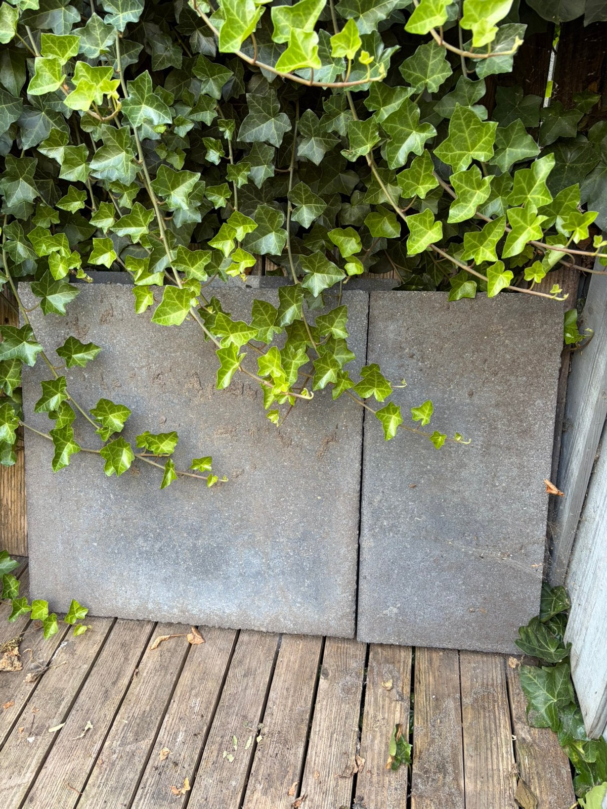 antraciet tuintegels 2x en een halve van 60x60 cm; h: 4,5cm, Tuin en Terras, Tegels en Klinkers, Ophalen, Zo goed als nieuw, Beton