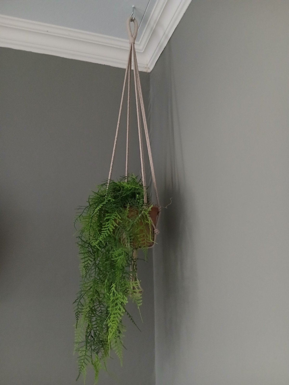 2 kunsthangplanten - zo goed als nieuw, Ophalen, Halfschaduw, Minder dan 100 cm