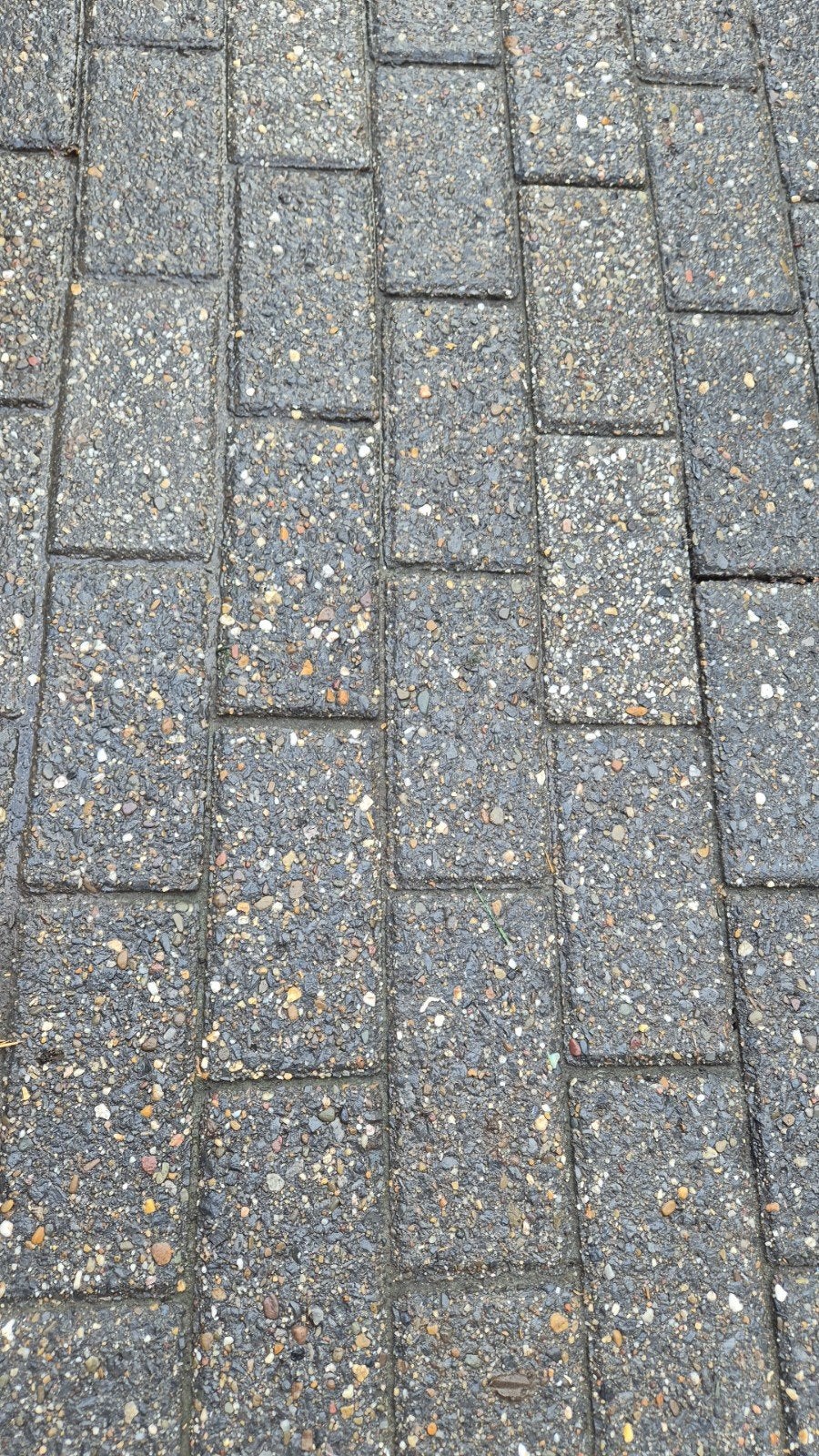 gratis! tuintegels, Tuin en Terras, Ophalen, Gebruikt, Beton, Terrastegels