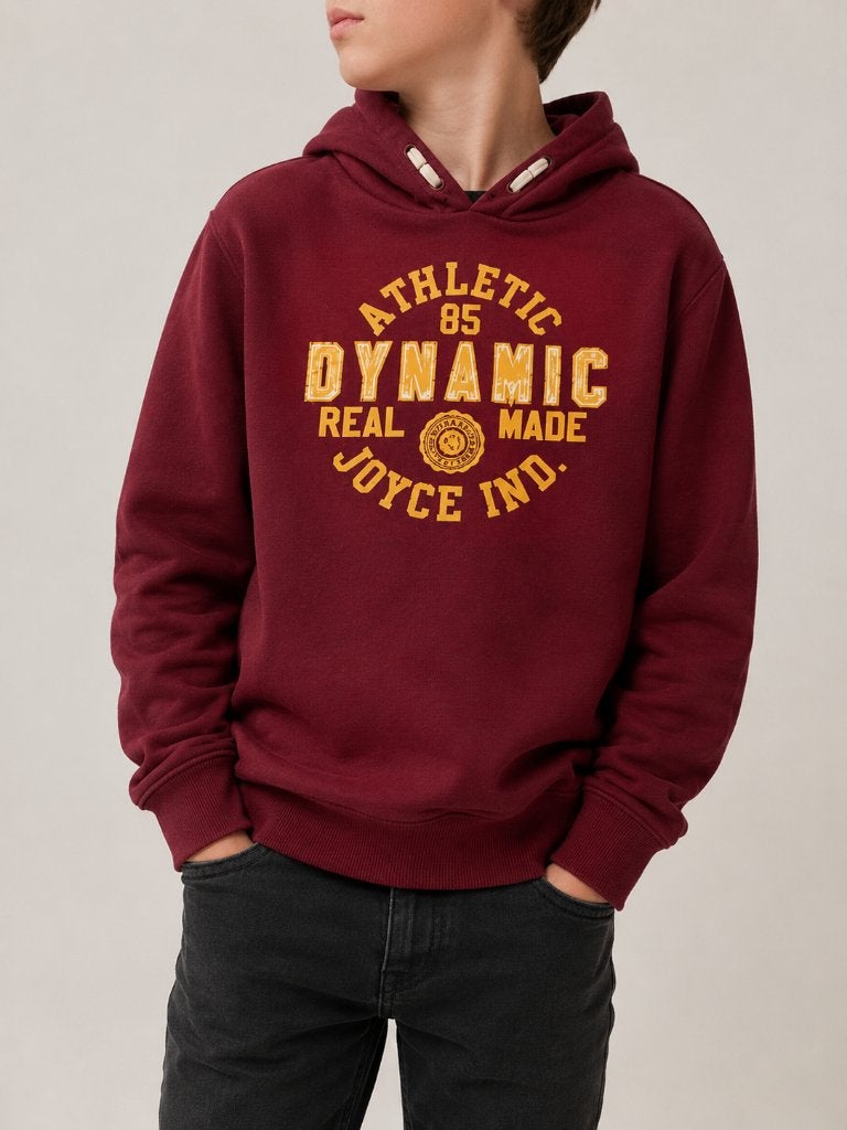 Gratis jongenshoodie maat 12 jaar, Ophalen, Gebruikt, Jongen, Shirt of Longsleeve