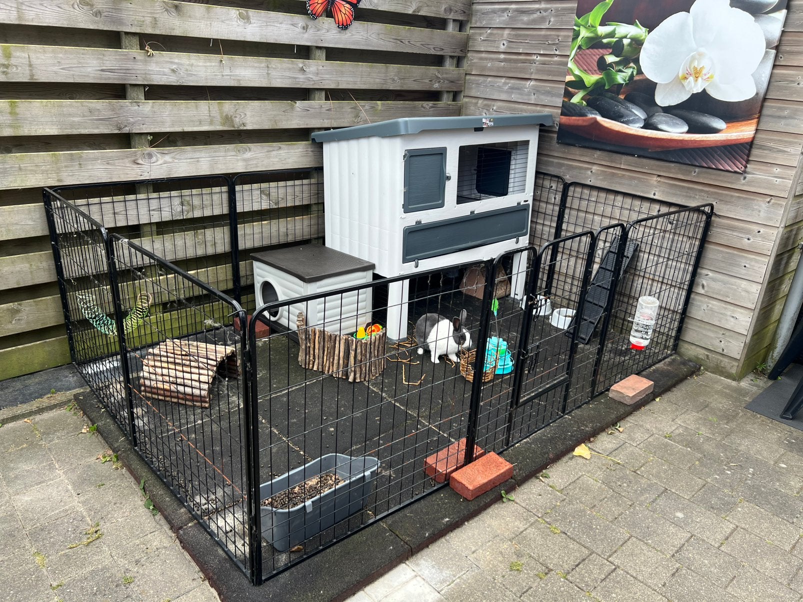 Konijnen en toebehoren, Dieren en Toebehoren, Ophalen, Overige typen