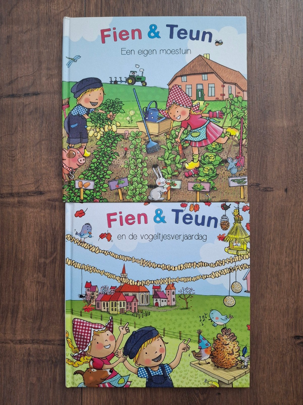 Fien & Teun, Ophalen of Verzenden, Zo goed als nieuw, Fictie algemeen