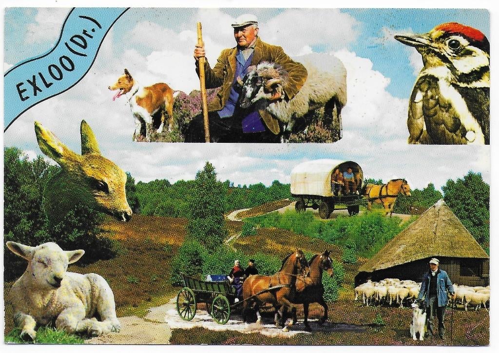 Exloo Gelopen Ansichtkaart ( B5668 ), Ophalen of Verzenden, 1980 tot heden, Gelopen