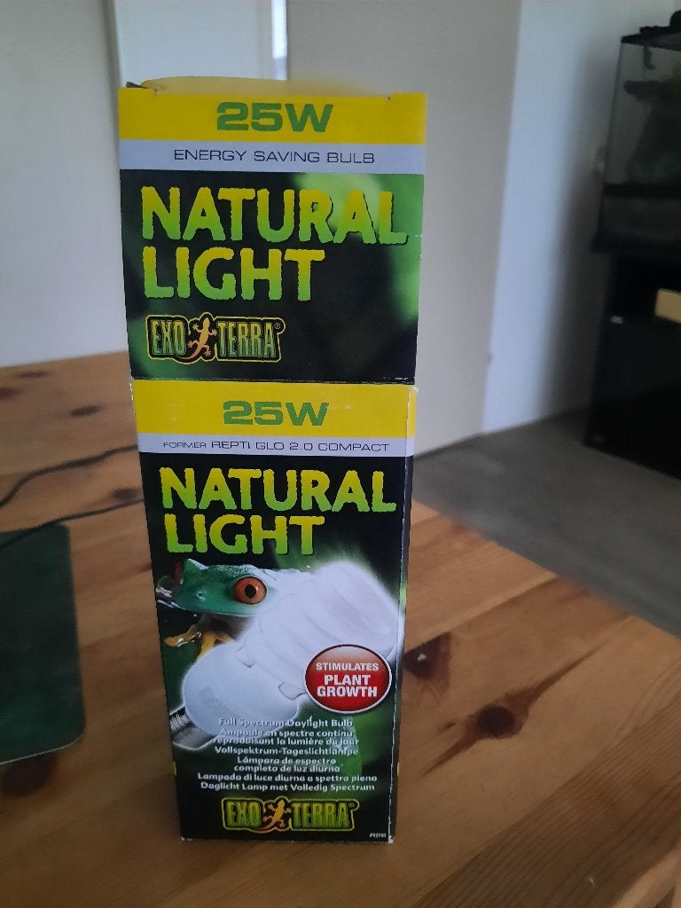 Reptiel licht en gekko cave large, Ophalen, Nieuw, Overige typen