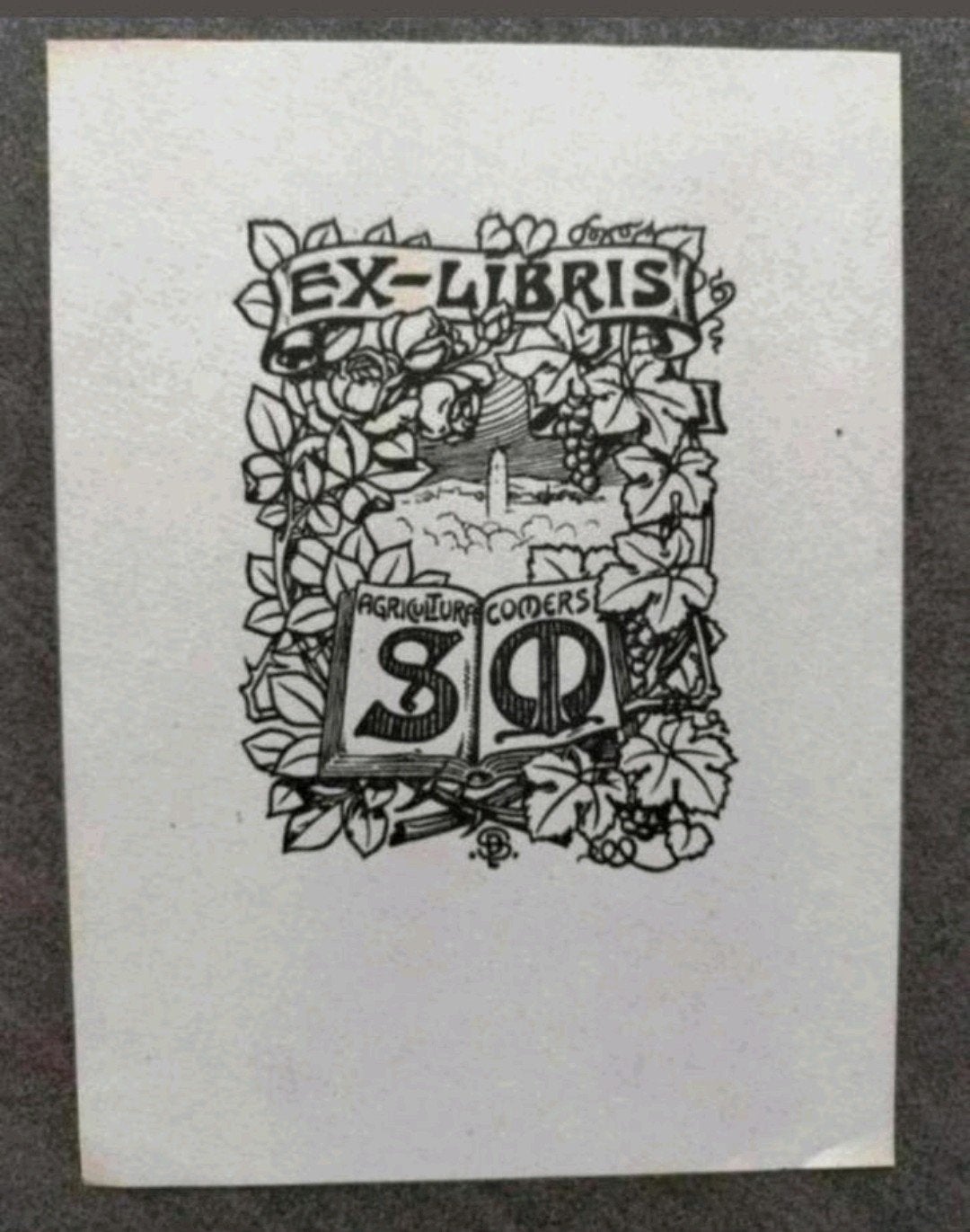 Exlibris SM (Peter Schnorr) (wijnrank, kerk, druiven, roos), 14 cm, Origineel, 10 cm, Ex libris