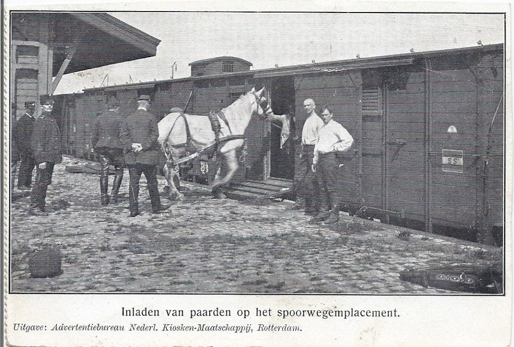 Rotterdam Inladen van paarden op het Spoorwegemplacement, Verzamelen, Verzenden, Voor 1920, Ongelopen, Zuid-Holland